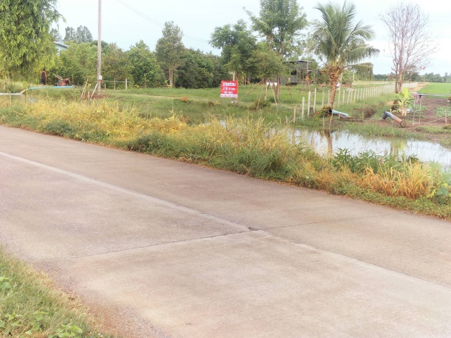 ขายที่ดินพร้อมสิ่งปลูกสร้าง โฉนด 2 ไร่ 3 งาน 31 ตรว. ต.ระแหง อ.ลาดหลุมแก้ว จ.ปทุมธานี 